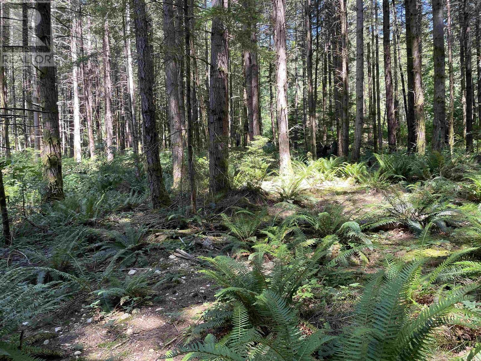 Lot 1&e Firburn Road, Roberts Creek, British Columbia  V0N 2W5 - Photo 4 - R2972060