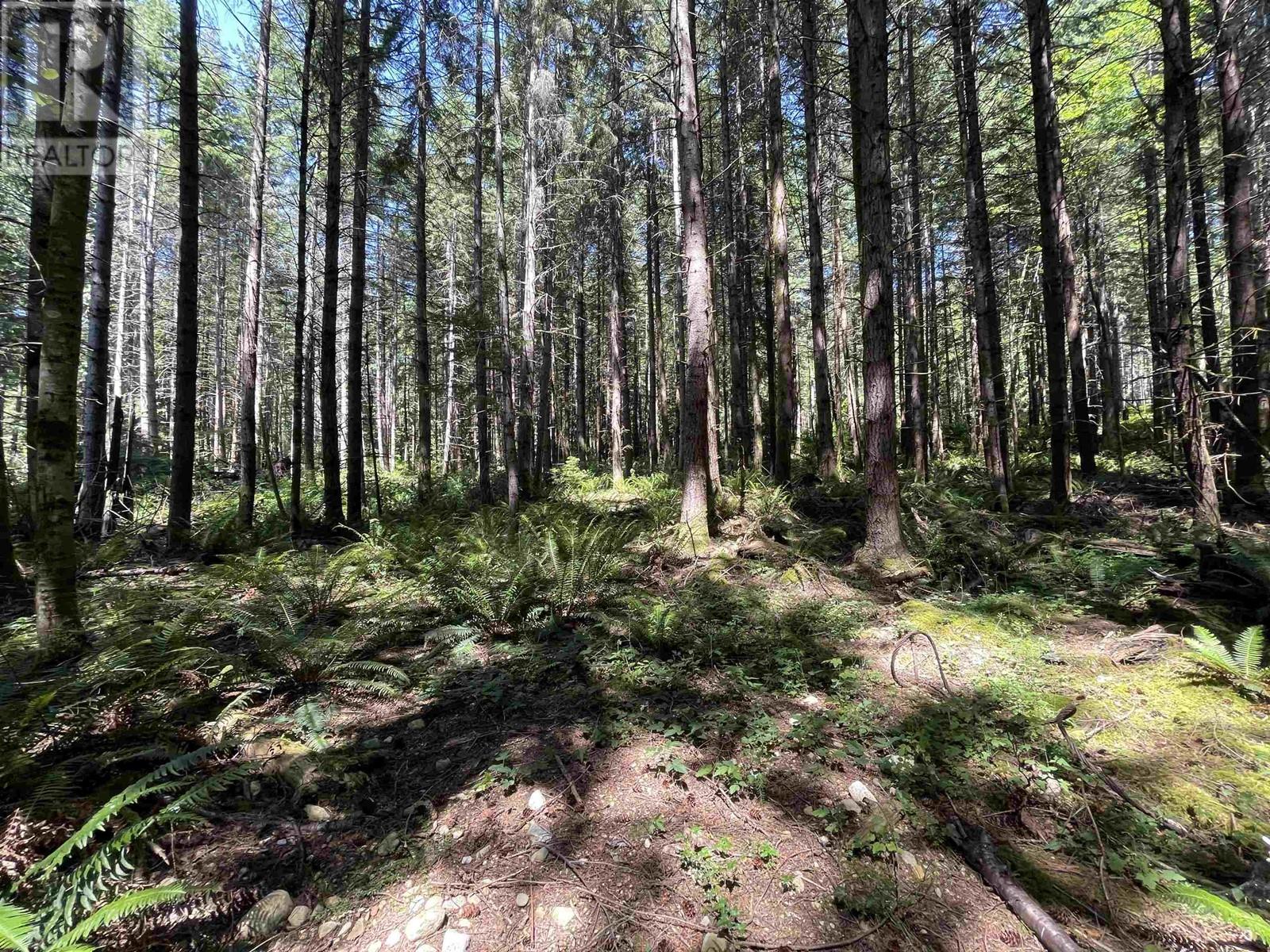 Lot 1&e Firburn Road, Roberts Creek, British Columbia  V0N 2W5 - Photo 7 - R2972060