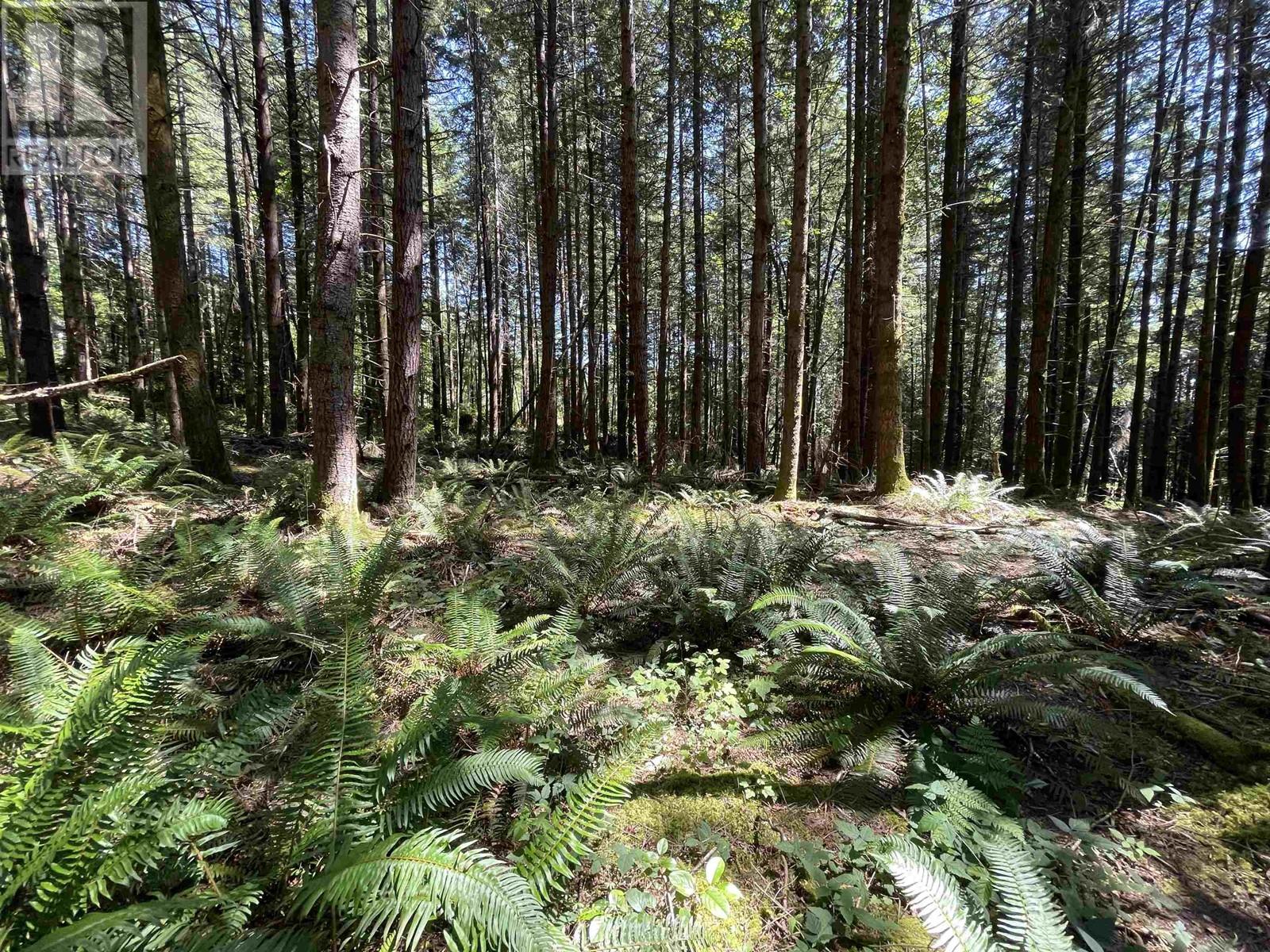Lot 1&e Firburn Road, Roberts Creek, British Columbia  V0N 2W5 - Photo 5 - R2972060
