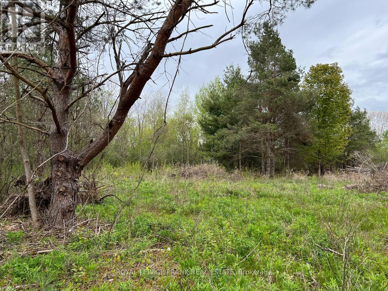 . Rutherford Road, Alnwick/haldimand, Ontario K0K 1S0 - Photo 10 - X12087423