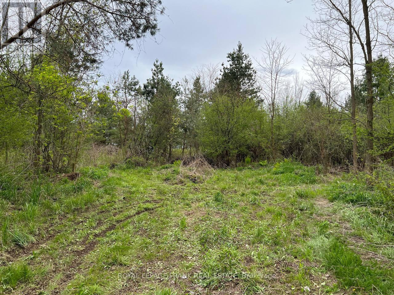 . Rutherford Road, Alnwick/haldimand, Ontario K0K 1S0 - Photo 11 - X12087423