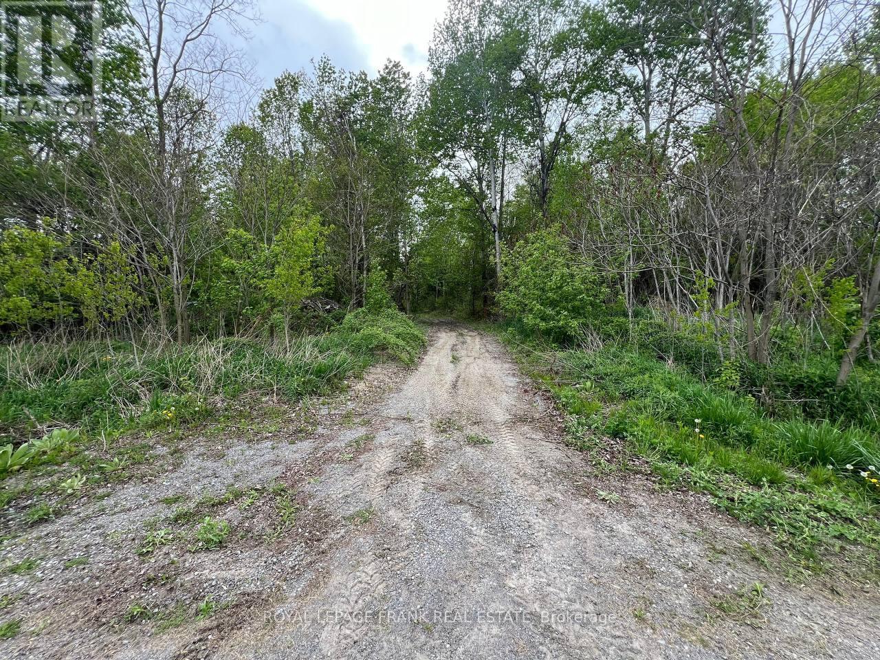 . Rutherford Road, Alnwick/haldimand, Ontario  K0K 1S0 - Photo 12 - X12087423