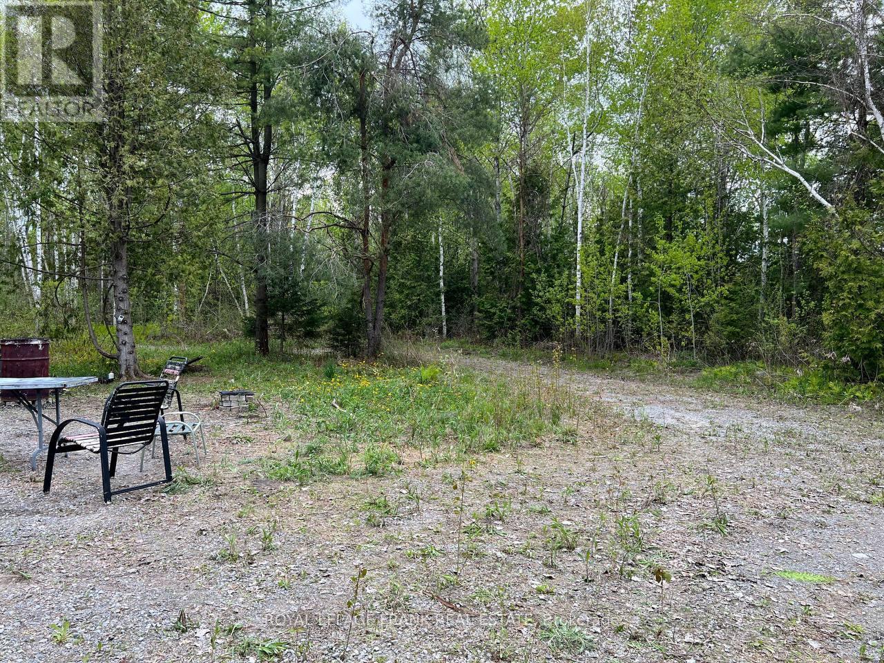 . Rutherford Road, Alnwick/haldimand, Ontario K0K 1S0 - Photo 13 - X12087423