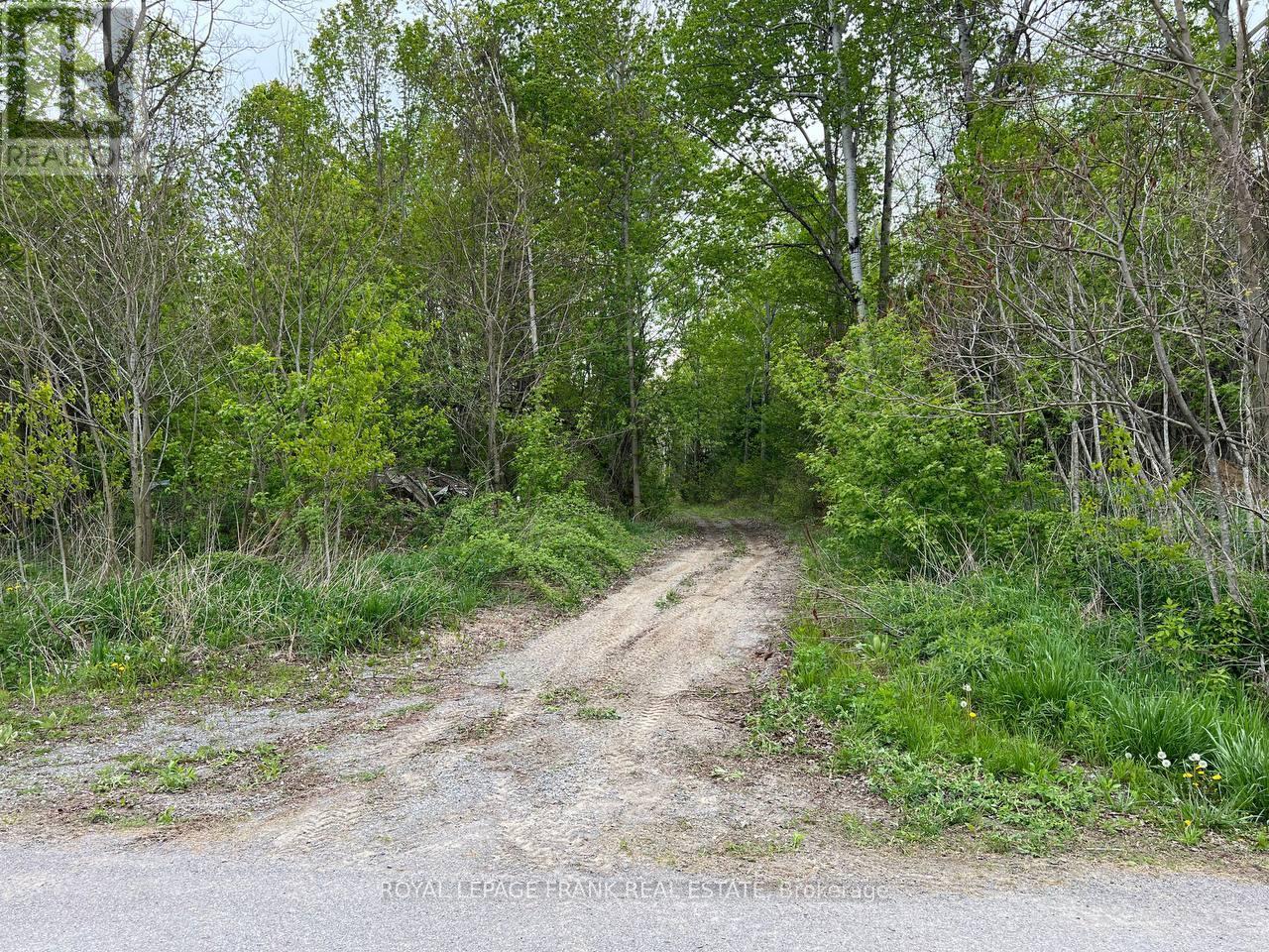 . Rutherford Road, Alnwick/haldimand, Ontario K0K 1S0 - Photo 16 - X12087423