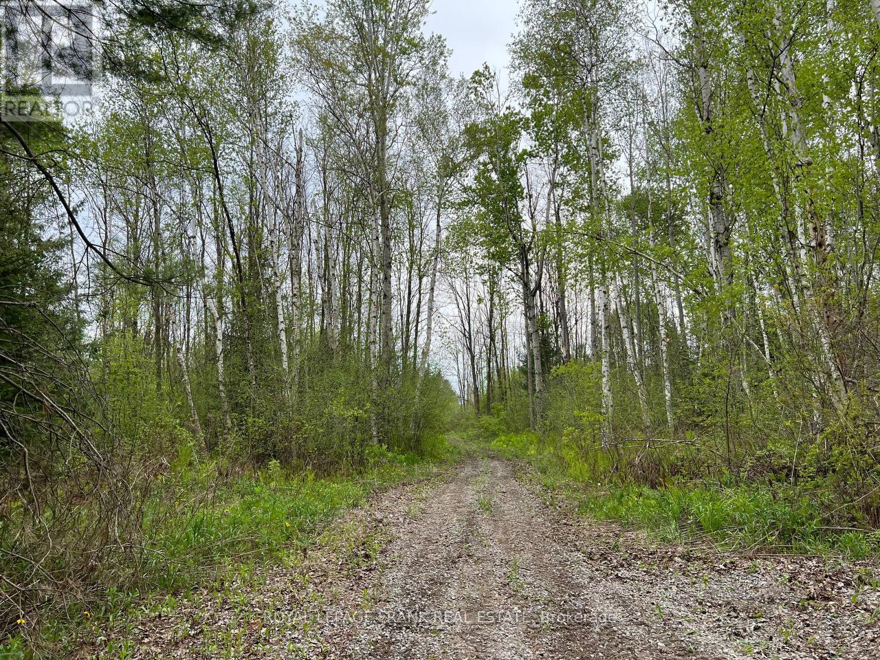 . Rutherford Road, Alnwick/haldimand, Ontario K0K 1S0 - Photo 2 - X12087423