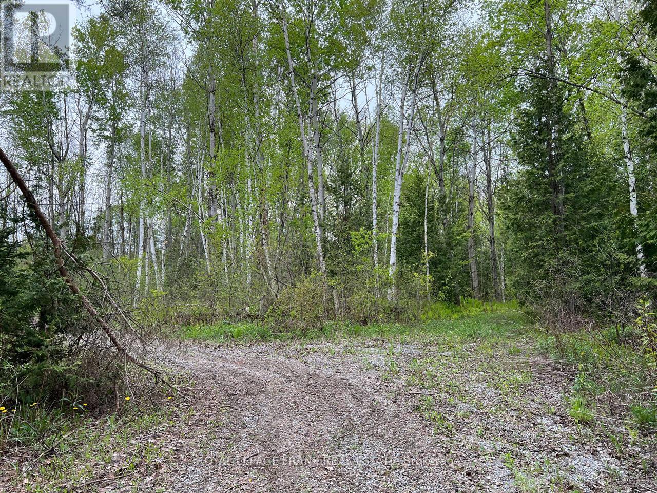 . Rutherford Road, Alnwick/haldimand, Ontario K0K 1S0 - Photo 20 - X12087423