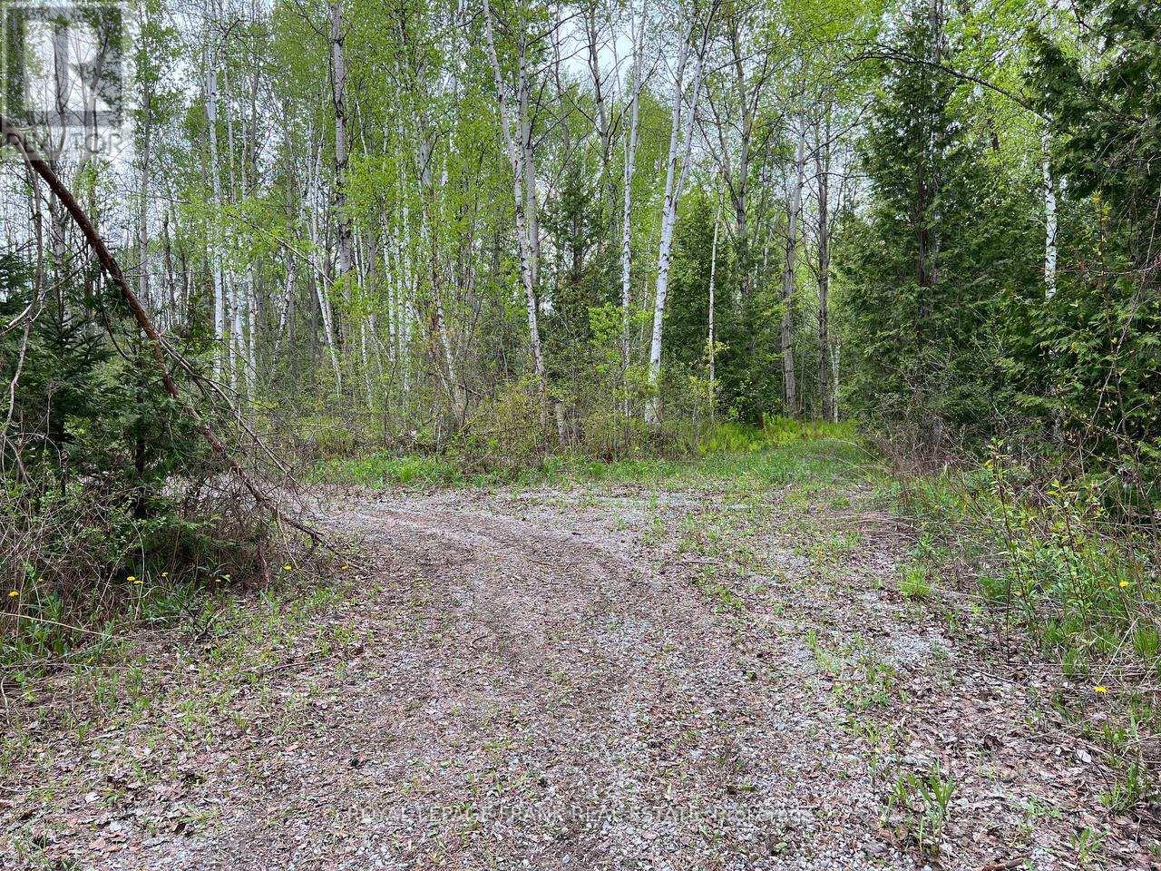 . Rutherford Road, Alnwick/haldimand, Ontario K0K 1S0 - Photo 22 - X12087423