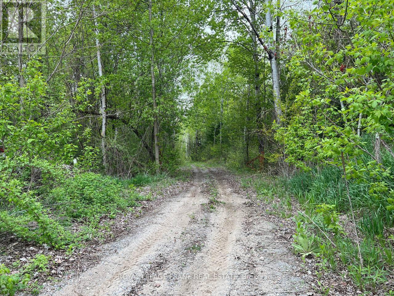 . Rutherford Road, Alnwick/haldimand, Ontario K0K 1S0 - Photo 3 - X12087423