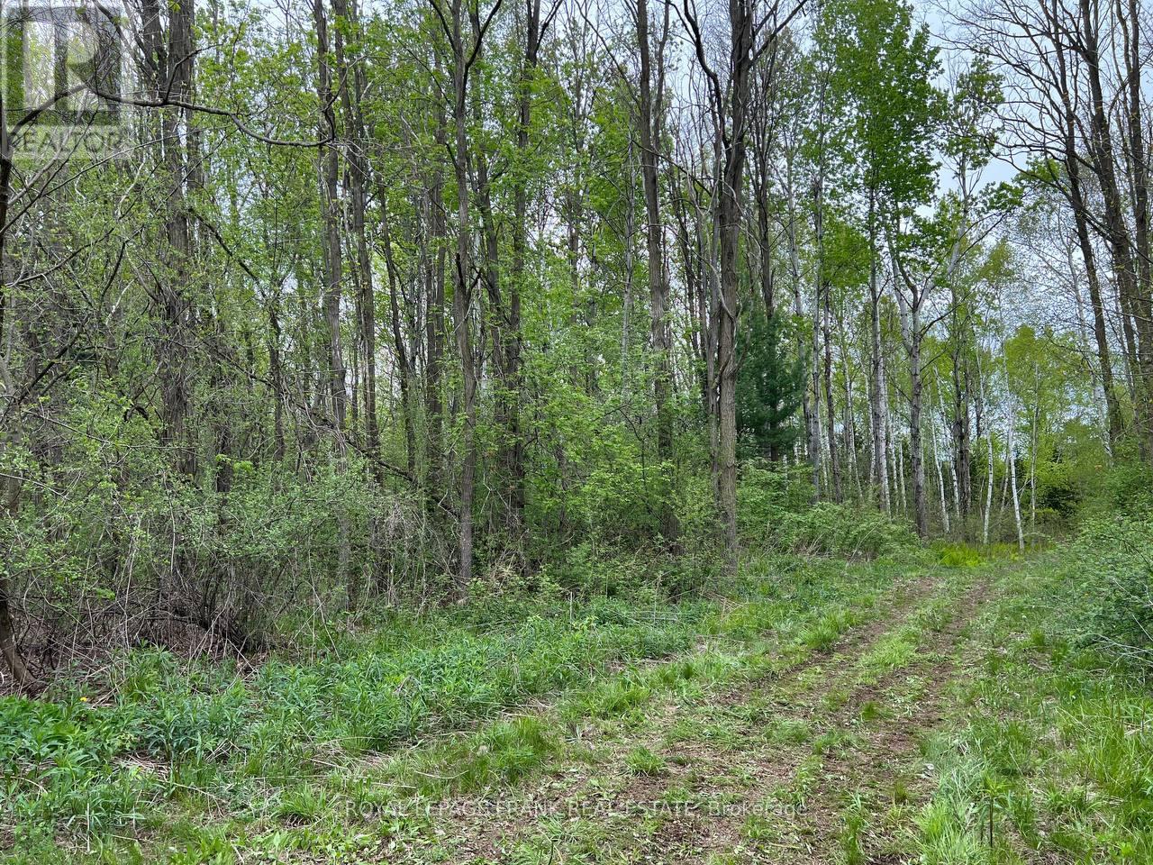 . Rutherford Road, Alnwick/haldimand, Ontario K0K 1S0 - Photo 4 - X12087423