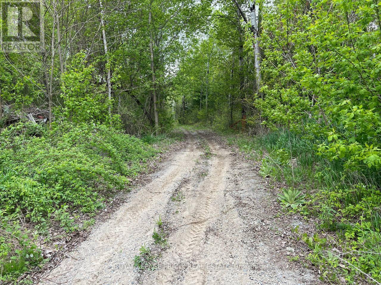 . Rutherford Road, Alnwick/haldimand, Ontario K0K 1S0 - Photo 6 - X12087423
