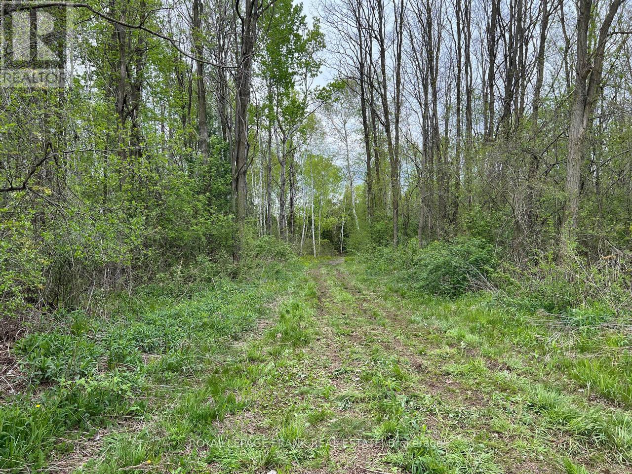 . Rutherford Road, Alnwick/haldimand, Ontario K0K 1S0 - Photo 7 - X12087423