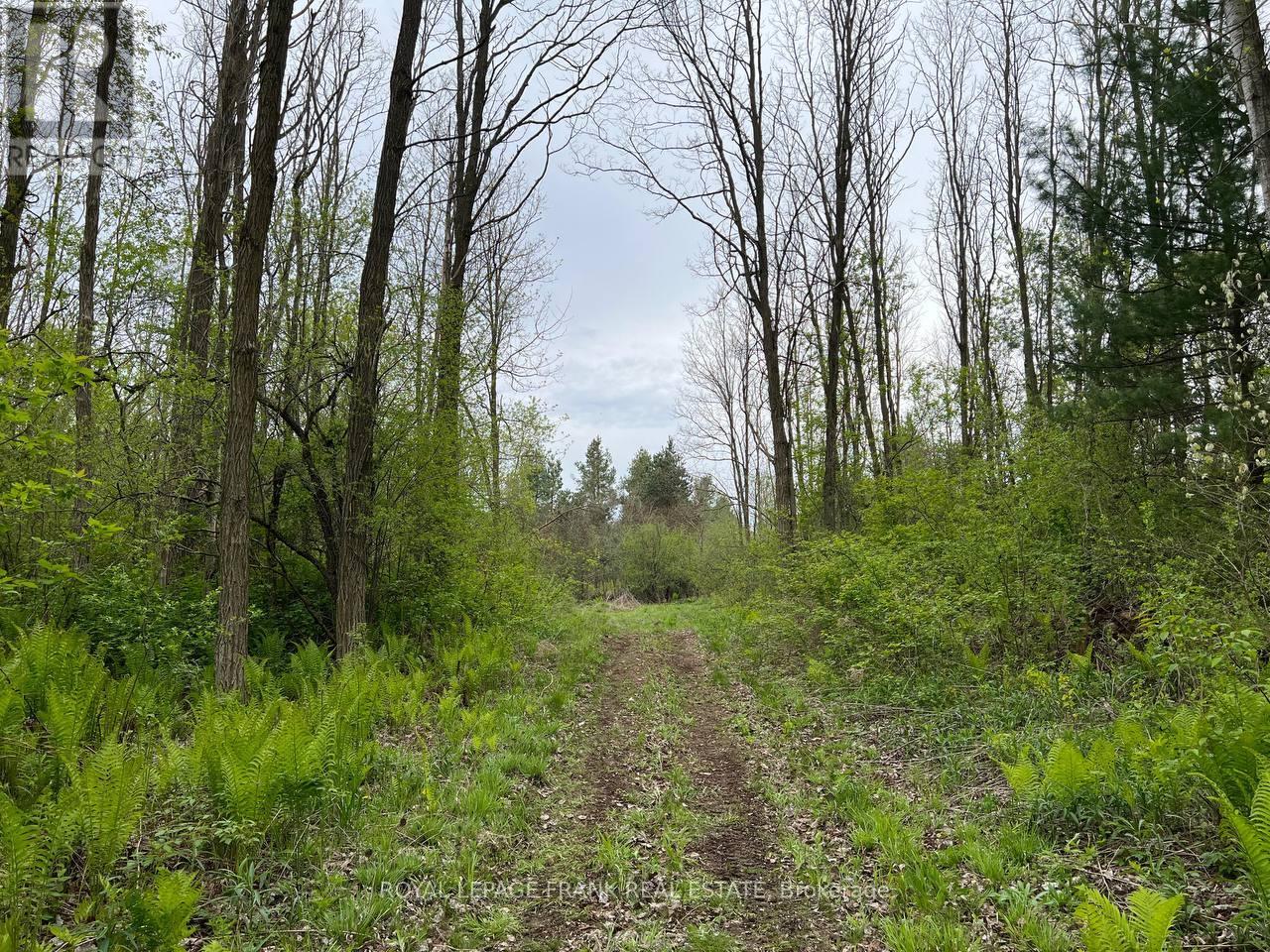 . Rutherford Road, Alnwick/haldimand, Ontario K0K 1S0 - Photo 8 - X12087423