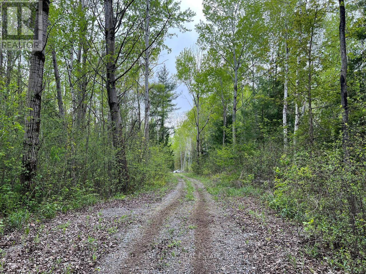 . Rutherford Road, Alnwick/haldimand, Ontario K0K 1S0 - Photo 9 - X12087423