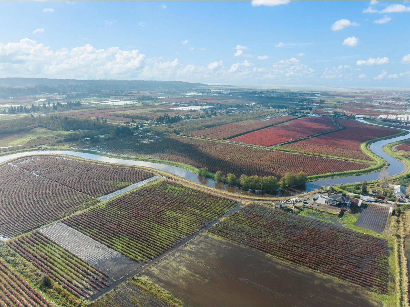 15627 48 Avenue, Surrey, British Columbia  V3S 0L2 - Photo 25 - R2990701