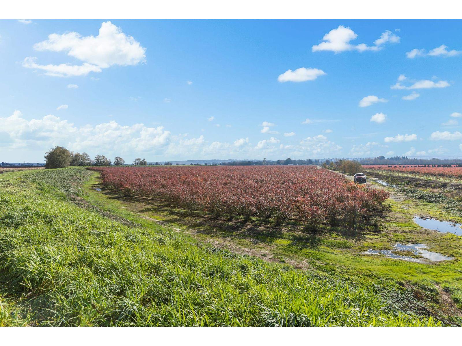 15627 48 Avenue, Surrey, British Columbia  V3S 0L2 - Photo 13 - R2990701