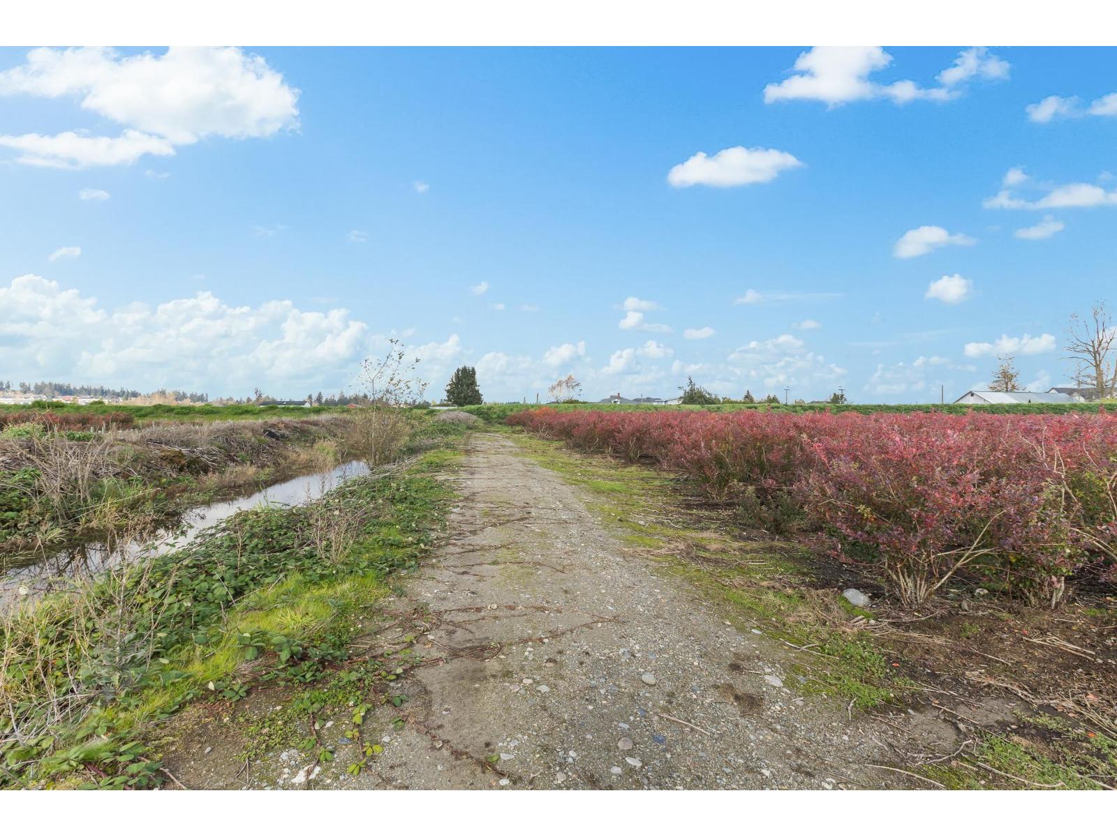 15627 48 Avenue, Surrey, British Columbia  V3S 0L2 - Photo 35 - R2990701