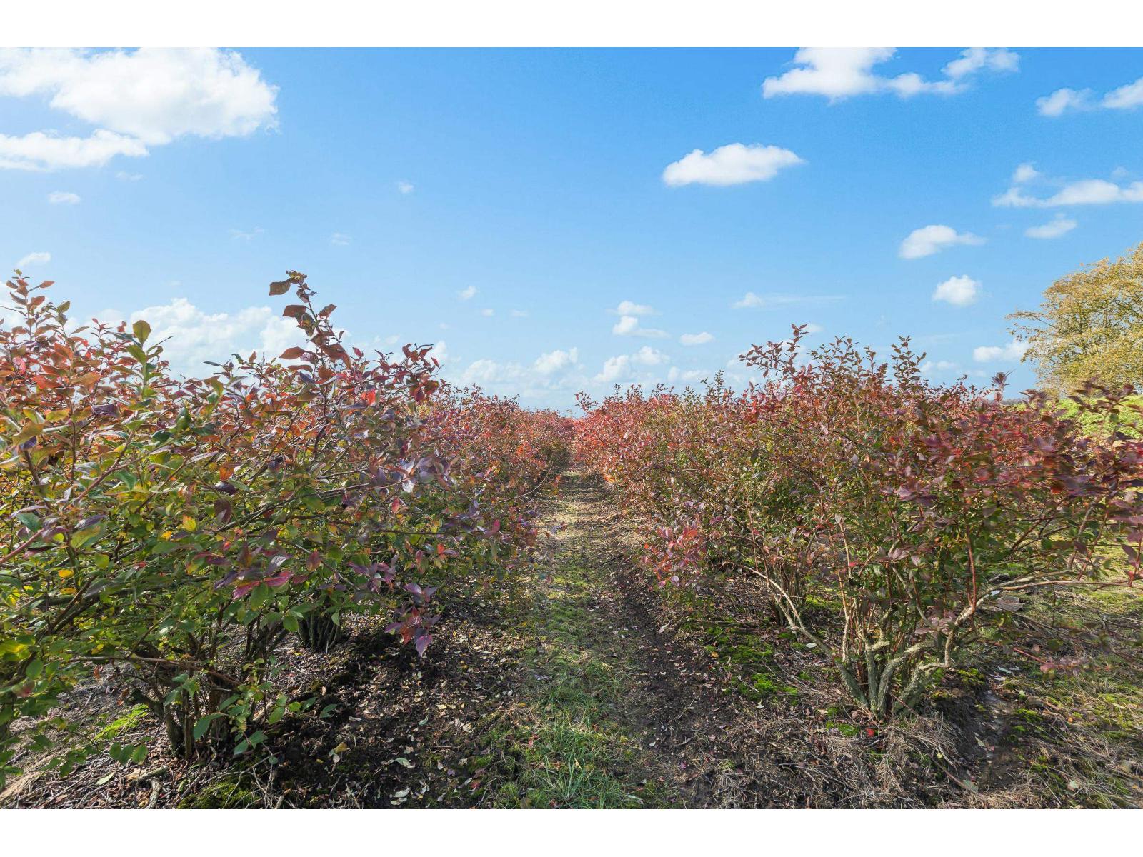 15627 48 Avenue, Surrey, British Columbia  V3S 0L2 - Photo 30 - R2990701