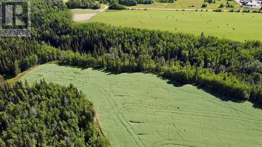 Range Road 225 Canyon Road, Rural Athabasca County, Alberta  T9S 2A4 - Photo 4 - A2212534