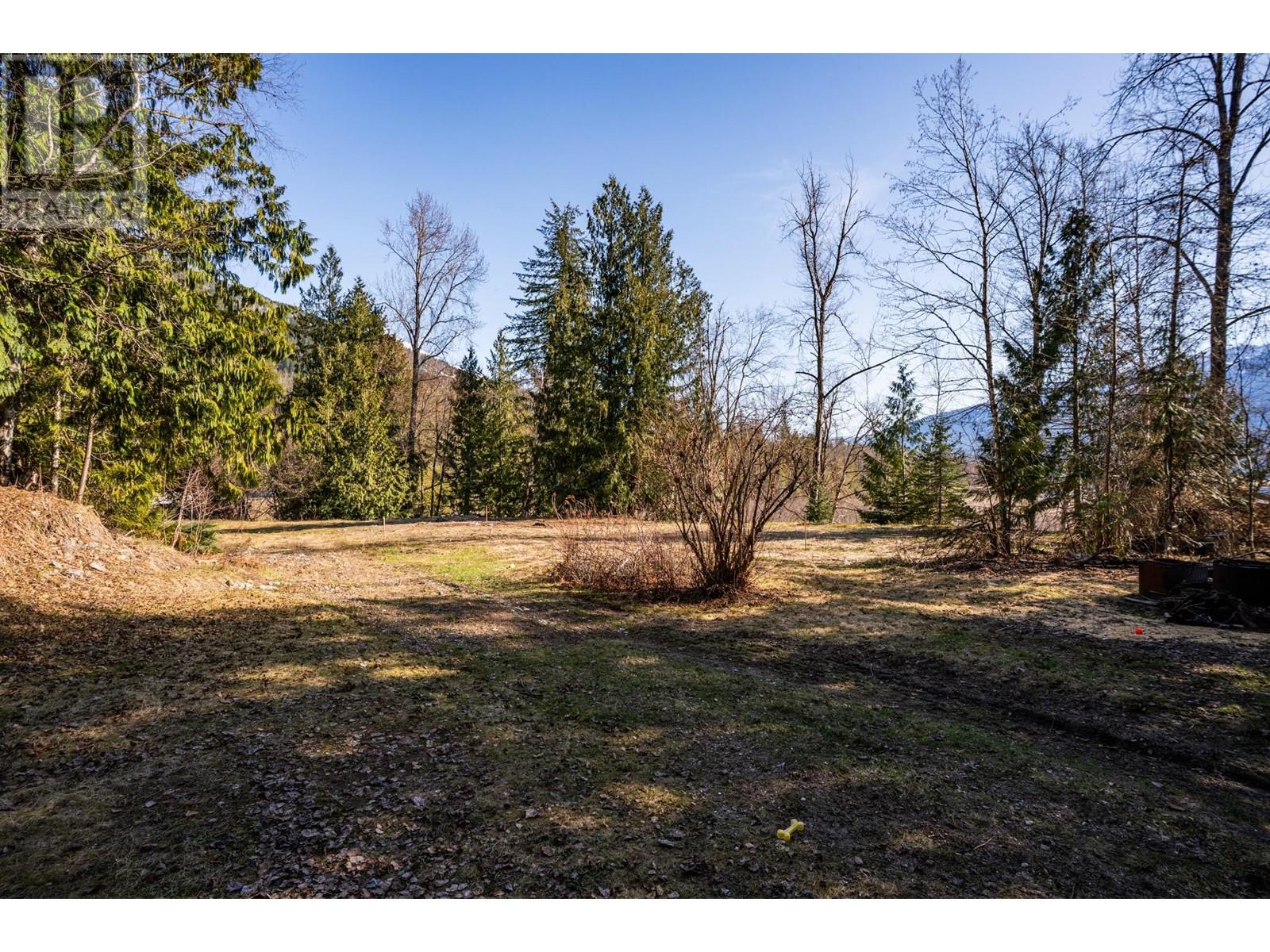 2323 Airport Way, Revelstoke, British Columbia  V0E 2S3 - Photo 3 - 10343517