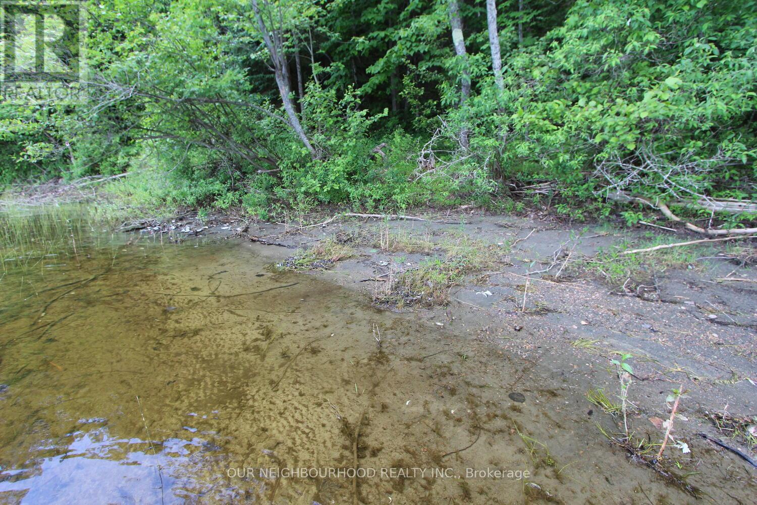 0 Tangamong Road E, Marmora And Lake, Ontario  K0K 2M0 - Photo 19 - X12087601