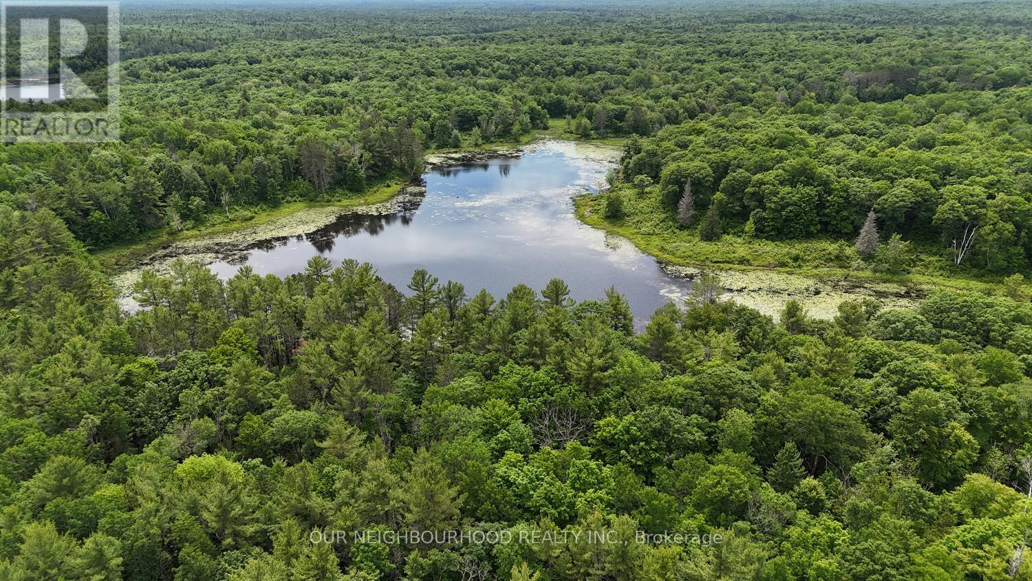 0 Tangamong Road E, Marmora And Lake, Ontario  K0K 2M0 - Photo 23 - X12087601