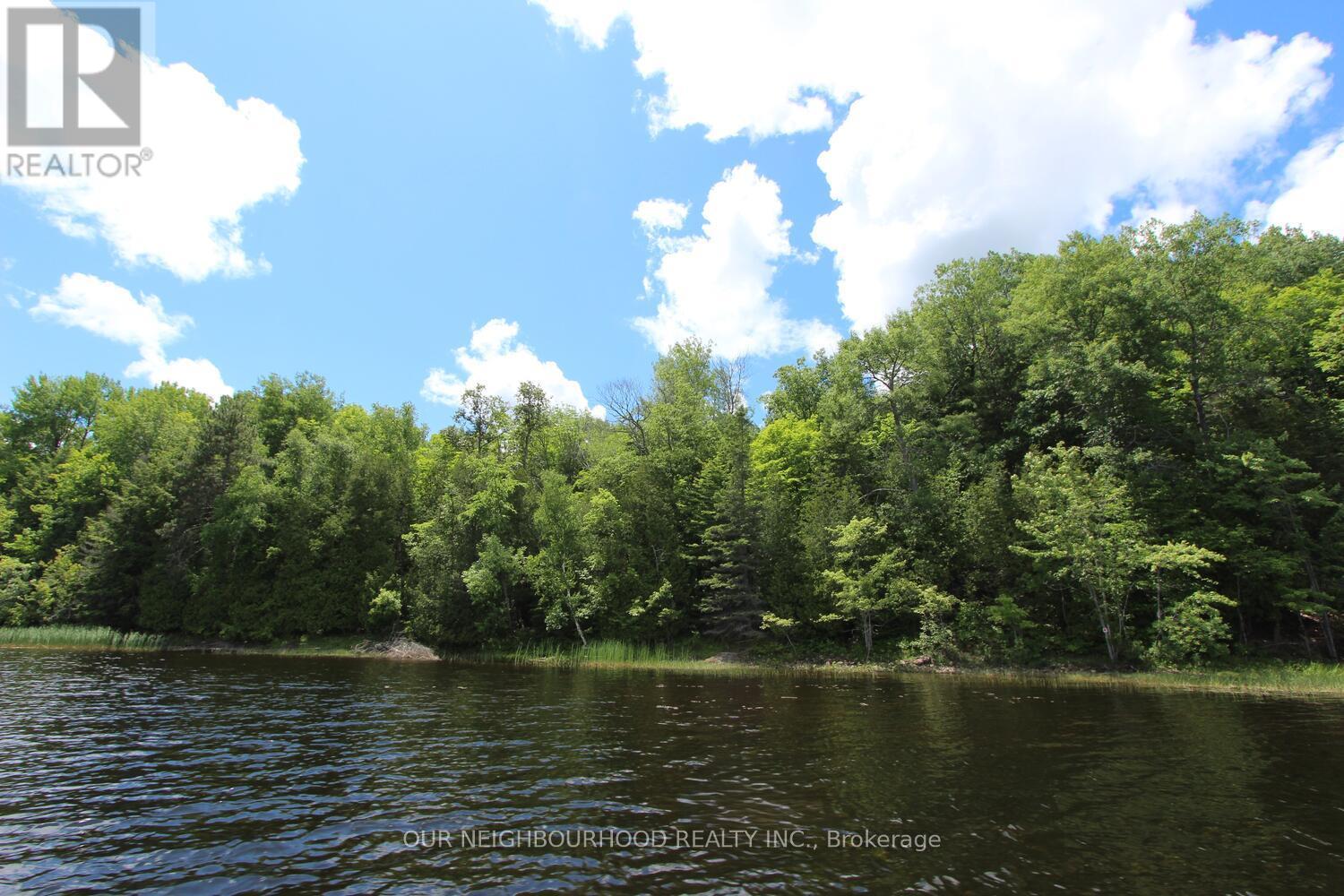 0 Tangamong Road E, Marmora And Lake, Ontario  K0K 2M0 - Photo 9 - X12087601