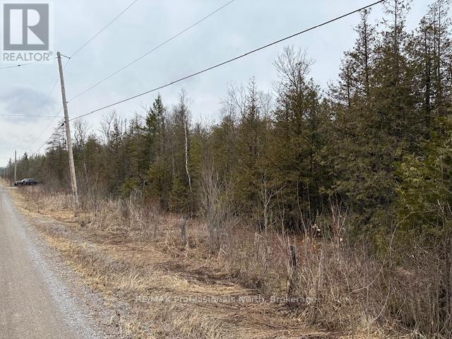 0 Laxton Boundary Line, Kawartha Lakes, Ontario  K0M 2B0 - Photo 3 - X12087595
