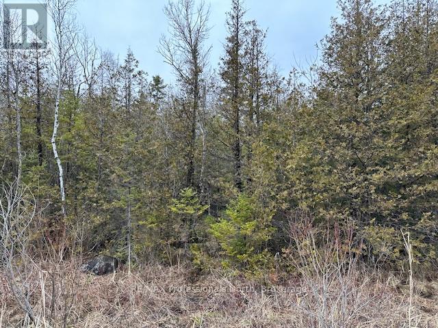 0 Laxton Boundary Line, Kawartha Lakes, Ontario  K0M 2B0 - Photo 4 - X12087595