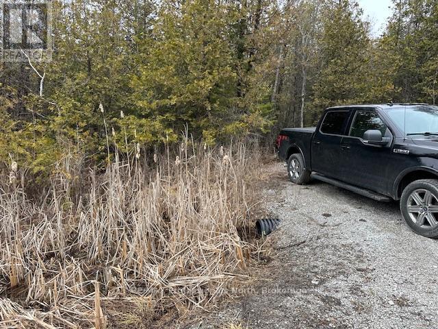 0 Laxton Boundary Line, Kawartha Lakes, Ontario  K0M 2B0 - Photo 7 - X12087595