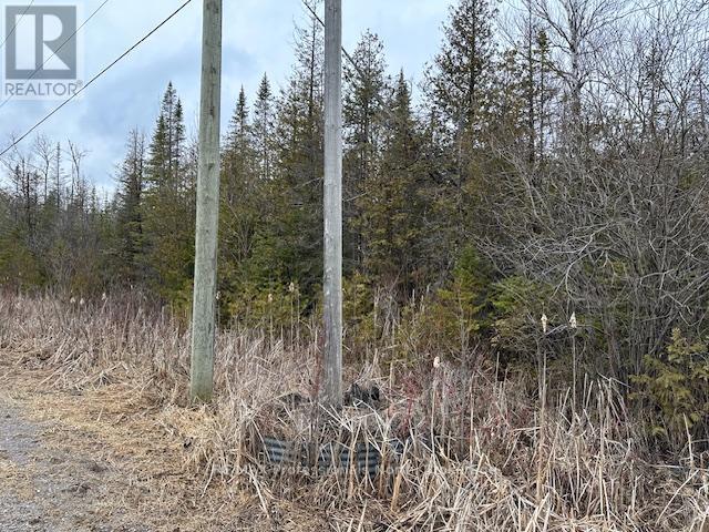 0 Laxton Boundary Line, Kawartha Lakes, Ontario  K0M 2B0 - Photo 8 - X12087595