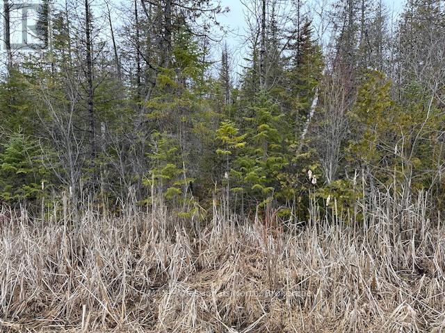 0 Laxton Boundary Line, Kawartha Lakes, Ontario  K0M 2B0 - Photo 9 - X12087595