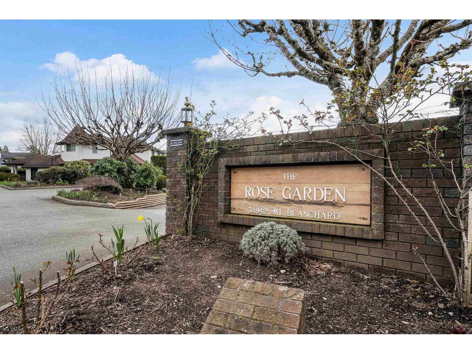 8 34942 Mt Blanchard Drive, Abbotsford, British Columbia  V2S 7K8 - Photo 32 - R2990831