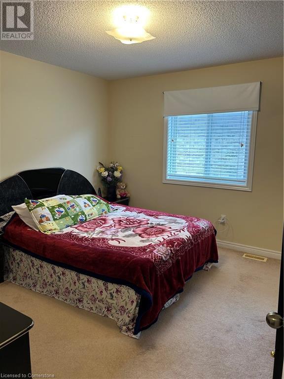 172 Lorenzo Drive, Hamilton, Ontario  L9A 0A2 - Photo 19 - 40717440