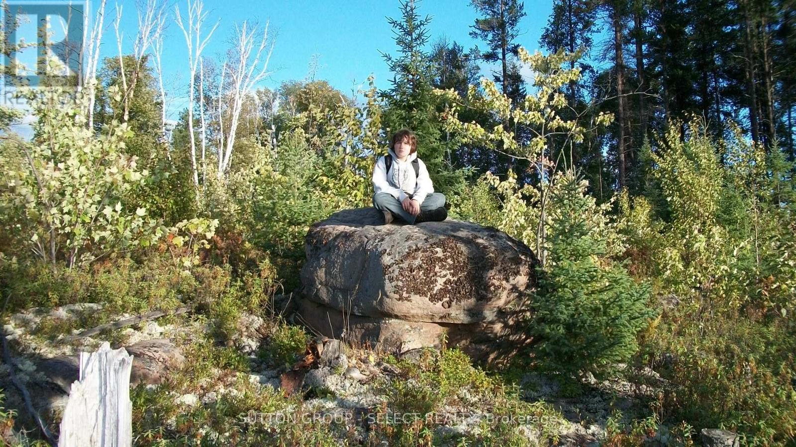 Lot 5 Con 1 Road, Timiskaming Remote Area, Ontario  P0J 1M0 - Photo 10 - T12087874