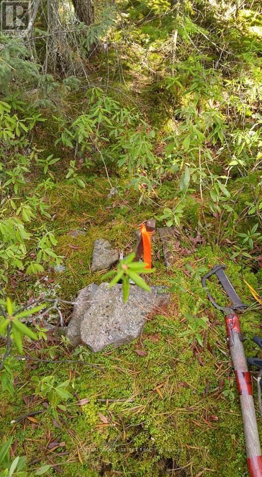 Lot 5 Con 1 Road, Timiskaming Remote Area, Ontario  P0J 1M0 - Photo 29 - T12087874