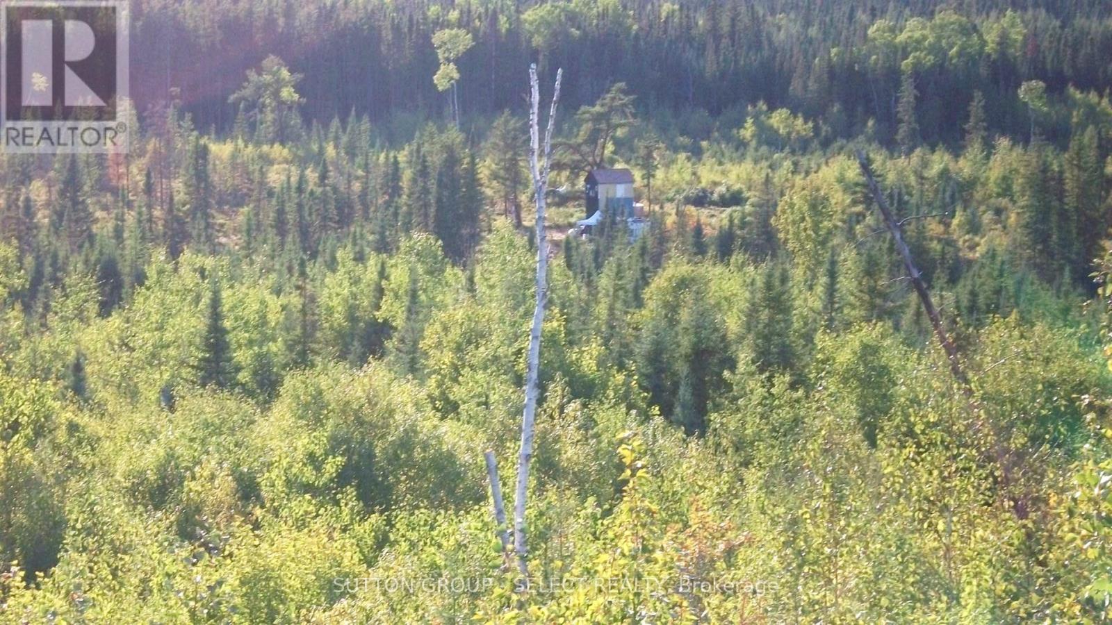 Lot 5 Con 1 Road, Timiskaming Remote Area, Ontario  P0J 1M0 - Photo 32 - T12087874