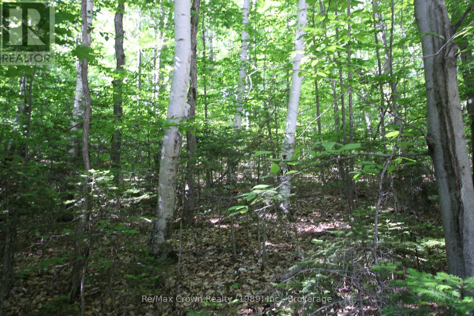 00 Alsace Road, Nipissing, Ontario  P0H 1W0 - Photo 4 - X12088019