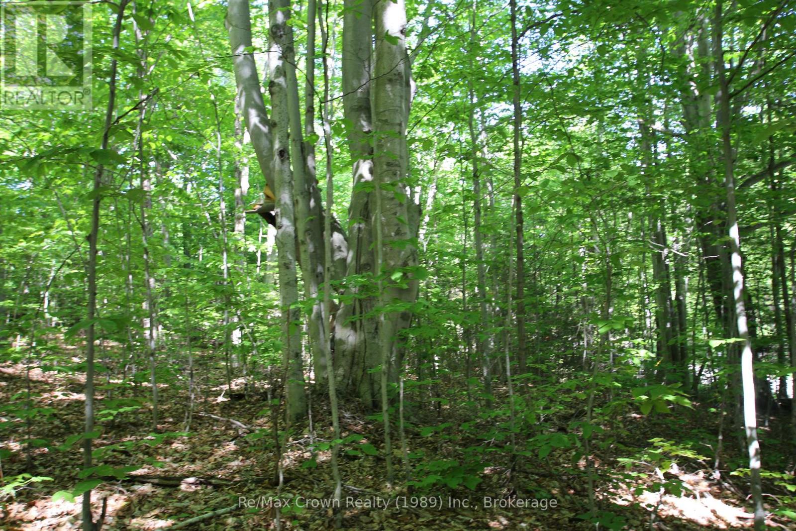00 Alsace Road, Nipissing, Ontario  P0H 1W0 - Photo 5 - X12088019