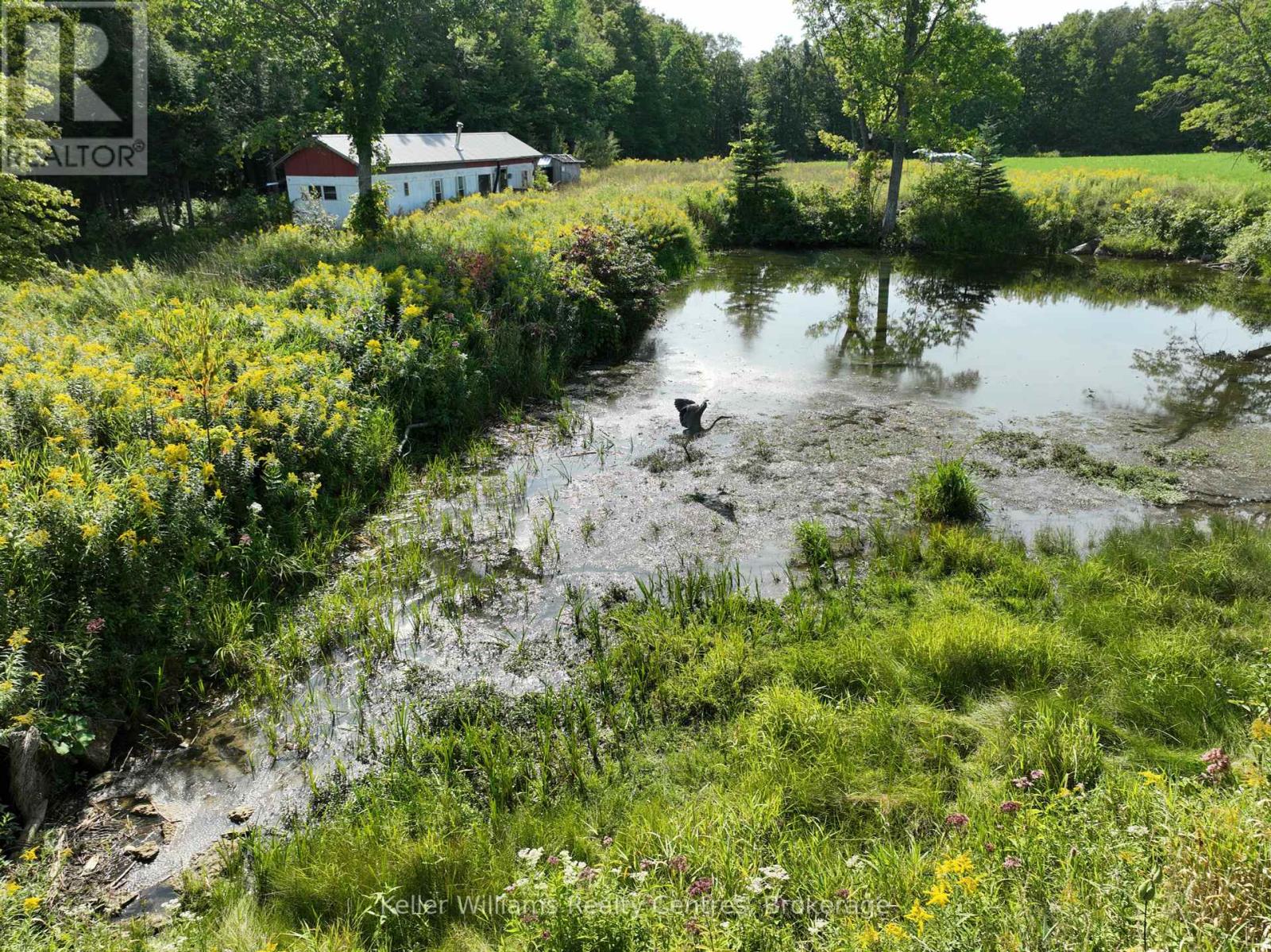 Lt 34 Con 23 Concession 24, Georgian Bluffs, Ontario  N0H 2T0 - Photo 18 - X12088088