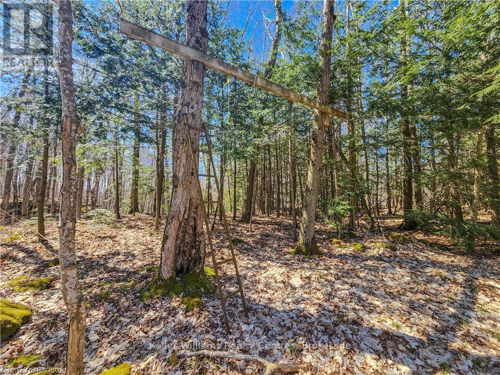 Lt 34 Con 23 Concession 24, Georgian Bluffs, Ontario  N0H 2T0 - Photo 36 - X12088088