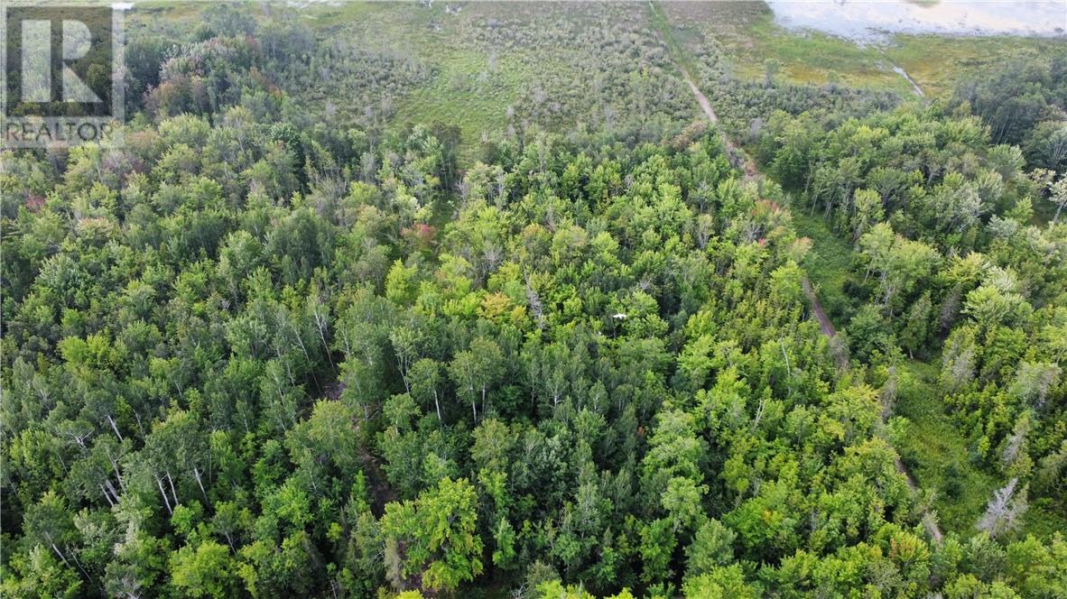 335 4th Line, Gordon, Ontario  P0P 1H0 - Photo 11 - 2121614