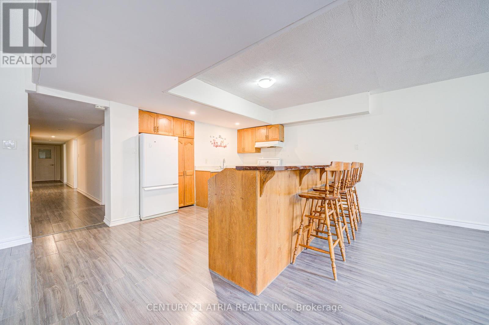 Basement - 113 Oak Avenue, Richmond Hill, Ontario  L4C 6R6 - Photo 10 - N12088170