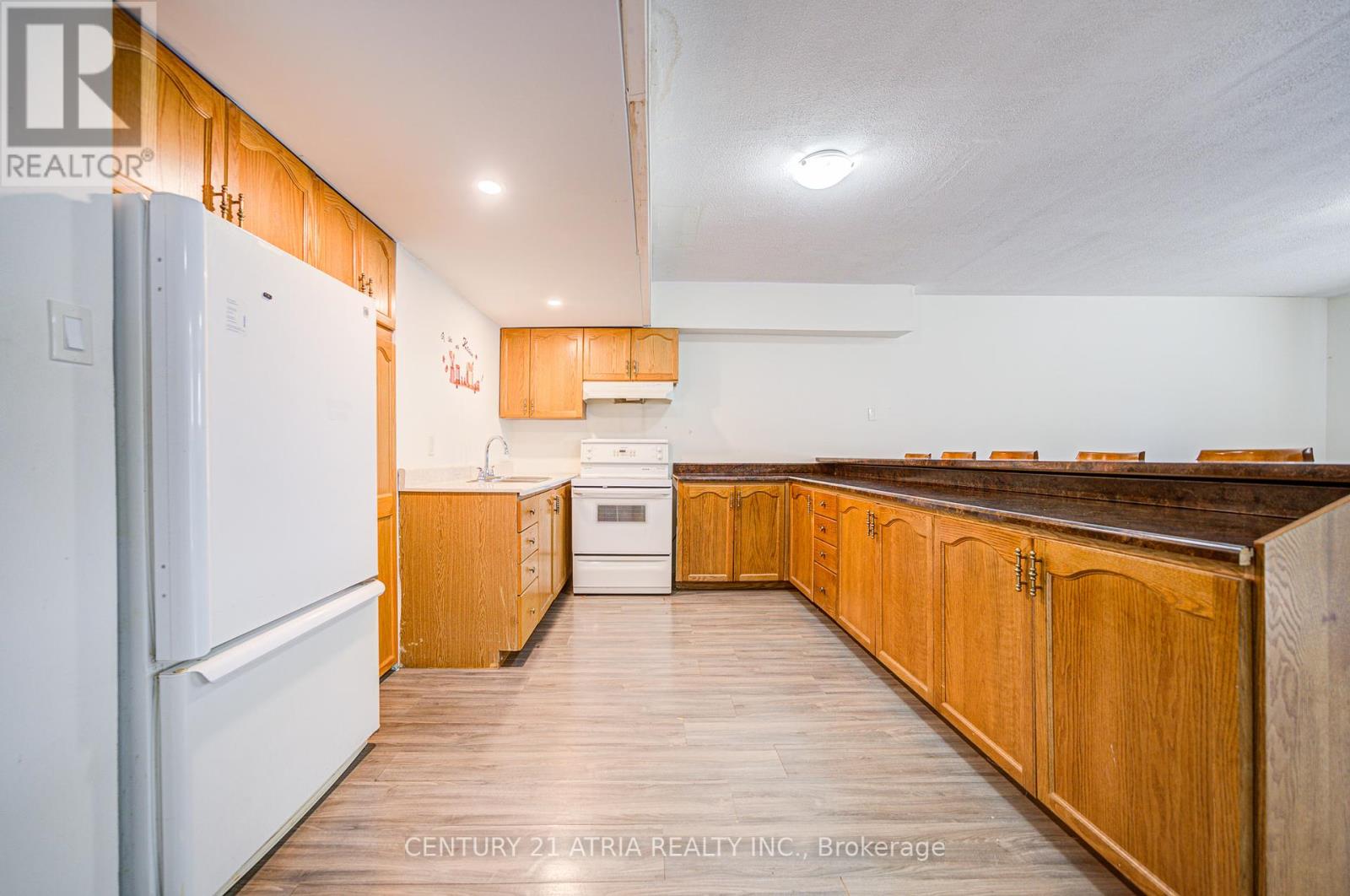 Basement - 113 Oak Avenue, Richmond Hill, Ontario  L4C 6R6 - Photo 11 - N12088170