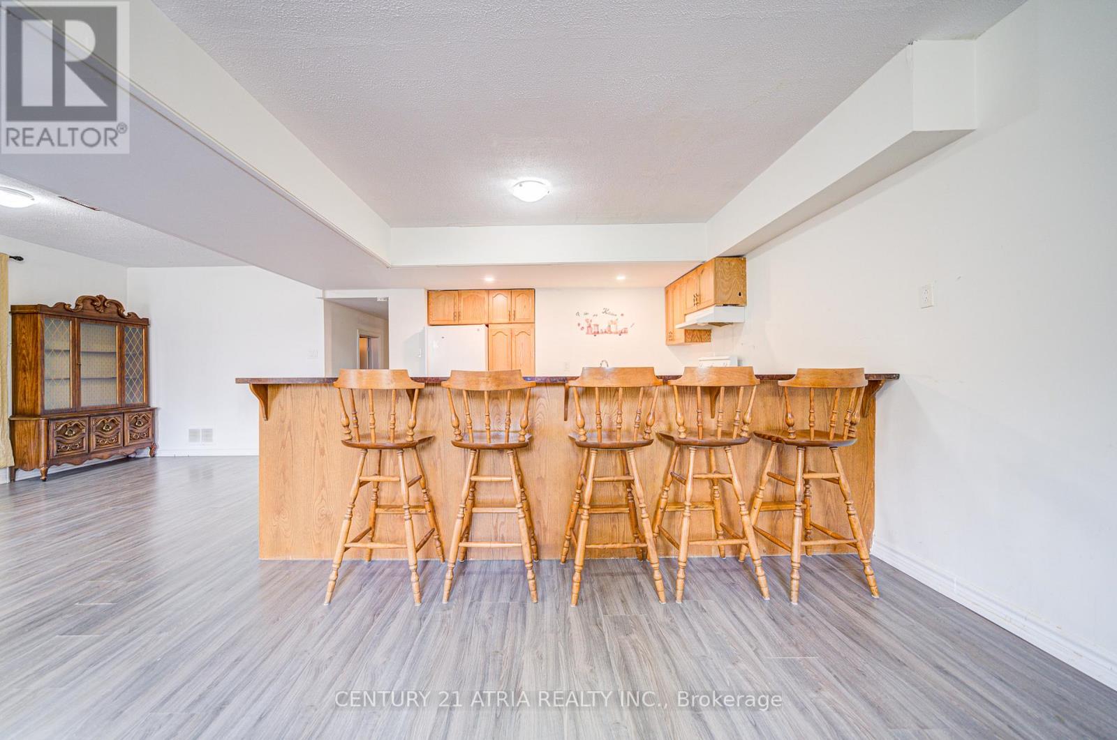 Basement - 113 Oak Avenue, Richmond Hill, Ontario  L4C 6R6 - Photo 8 - N12088170