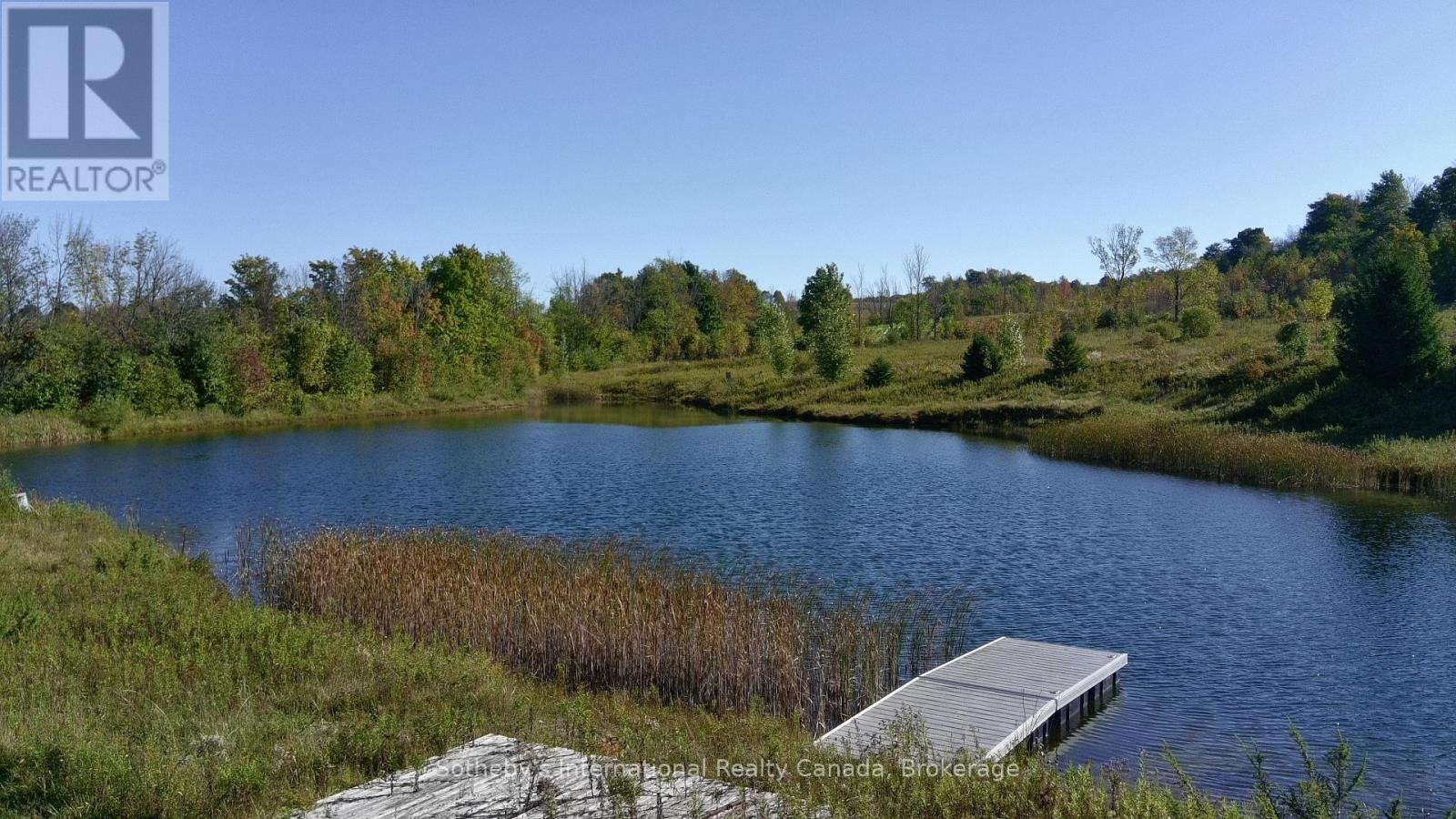 415763 10th Line, Blue Mountains, Ontario  N0H 1J0 - Photo 6 - X12088338
