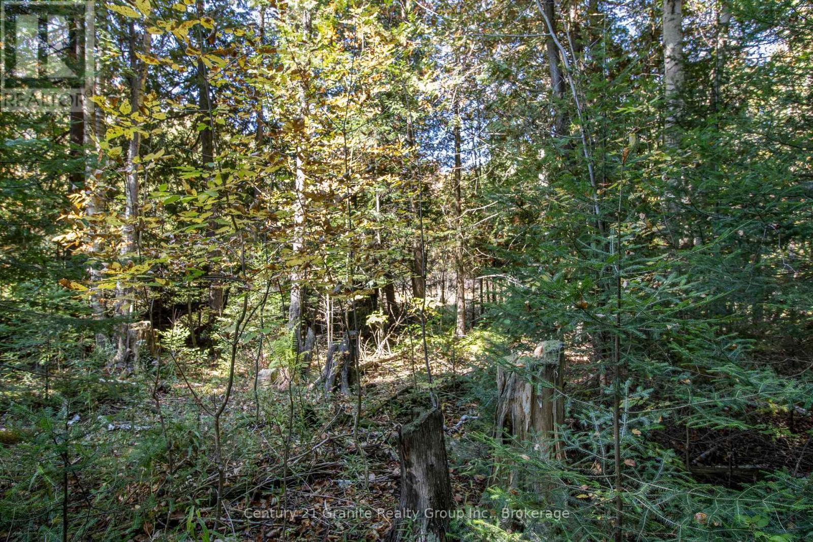 Pt 2 Tom Bolton Road, Minden Hills, Ontario  K0M 2K0 - Photo 12 - X12088339