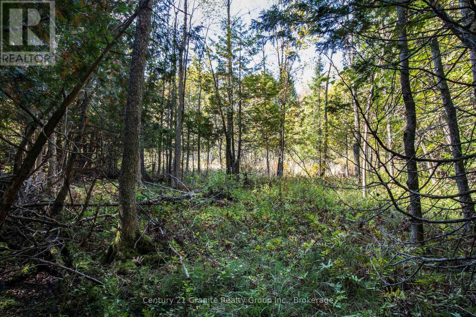 Pt 2 Tom Bolton Road, Minden Hills, Ontario  K0M 2K0 - Photo 13 - X12088339