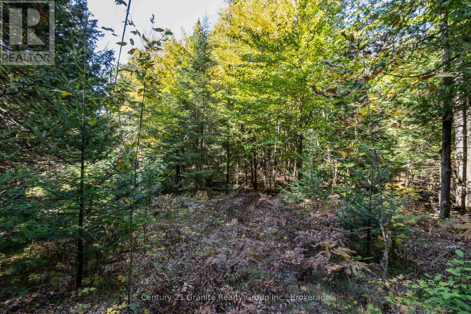 Pt 2 Tom Bolton Road, Minden Hills, Ontario  K0M 2K0 - Photo 14 - X12088339