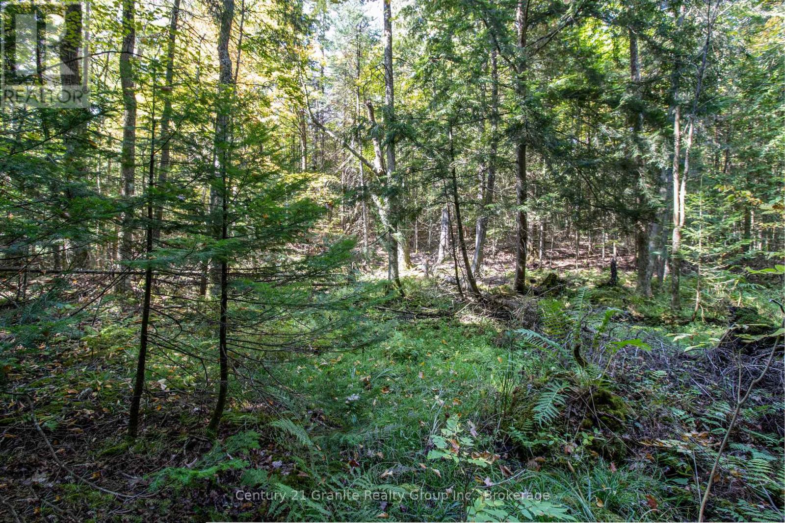 Pt 2 Tom Bolton Road, Minden Hills, Ontario  K0M 2K0 - Photo 15 - X12088339