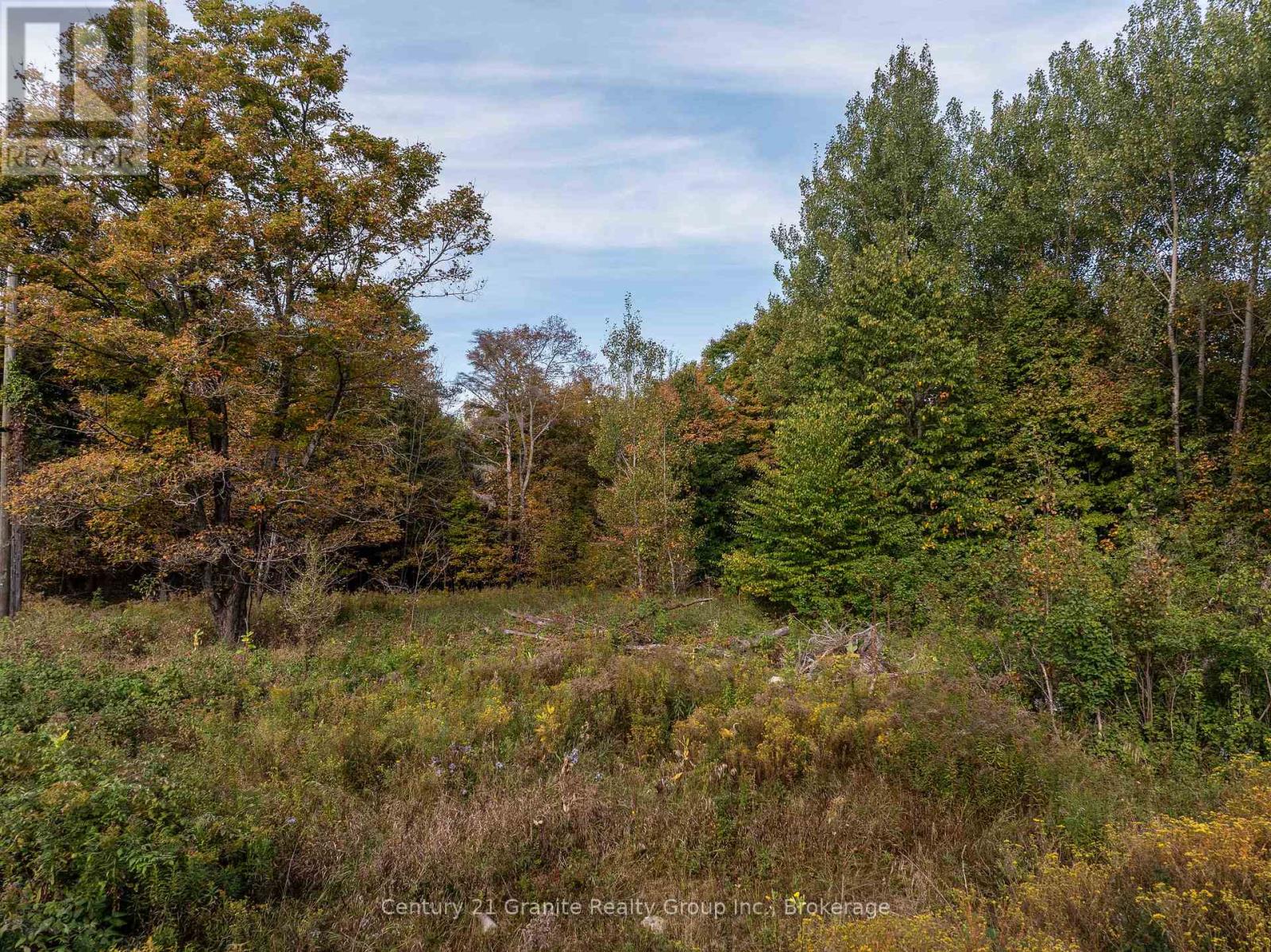 Pt 2 Tom Bolton Road, Minden Hills, Ontario  K0M 2K0 - Photo 6 - X12088339
